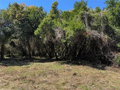 BEAU COURT LOT 6, Orange City, FL, 32763