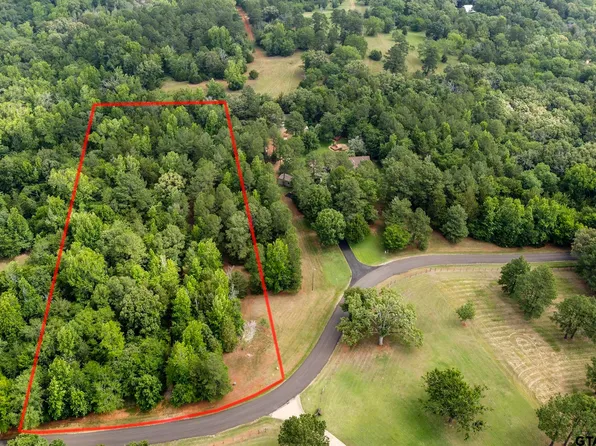 Tbd Cr 3802, Bullard, TX 75757