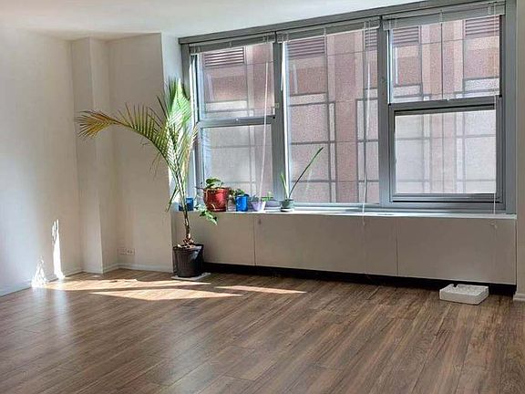 4th image of 777 N Michigan Ave APT 704