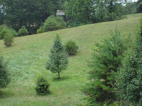 3rd image of 24 Porter Creek Dr