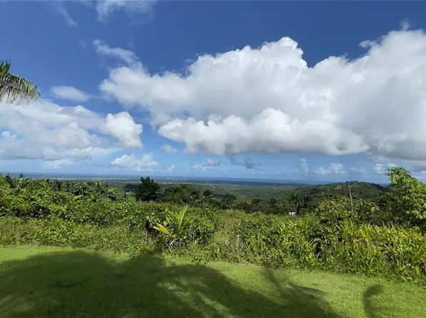 960 Km #2.3-lot B, Rio Grande, PR 00745