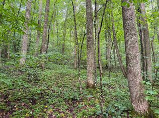 LOT 1 Hanging Run Rd, Belington, WV 26250
