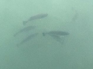 1941 Millersburg Rd, Utica, OH 43080