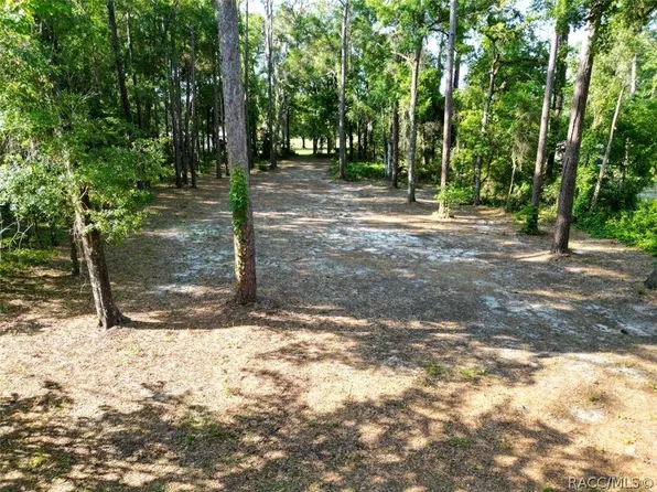 7798 E Pine Lake Ln, Floral City, FL 34436