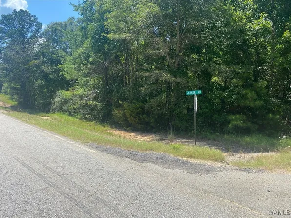 0 Highway 102, Fayette, AL 35555