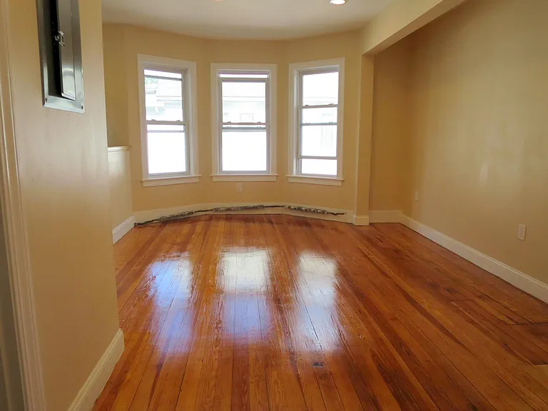 55A Marion St #2 — Photo 6