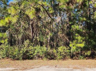 118 May Ave, Georgetown, FL 32139