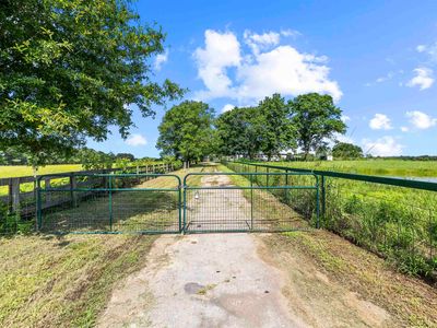1992 County Road 3160, Cookville, TX, 75558