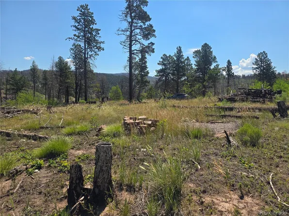 695 Cogbill Drive, Fort Garland, CO 81133