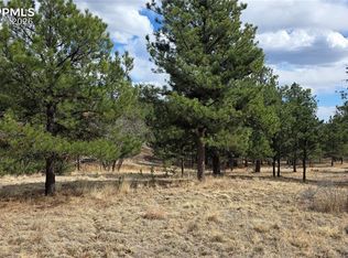 2002 Comanche Cir, Florissant, CO 80816