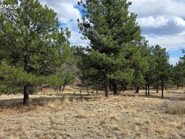 2002 Comanche Cir, Florissant, CO 80816