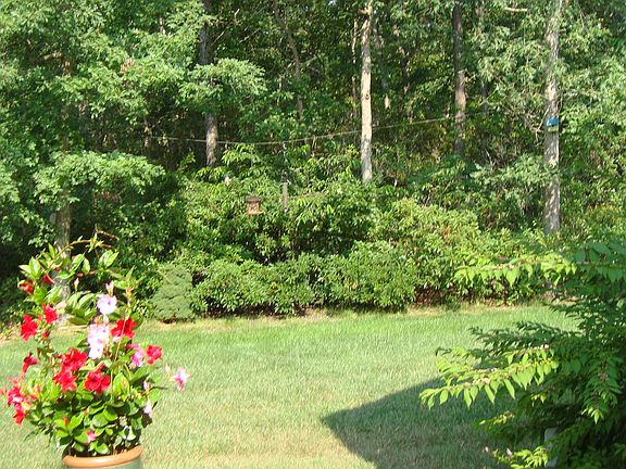 TOTALLY PRIVATE BACKYARD