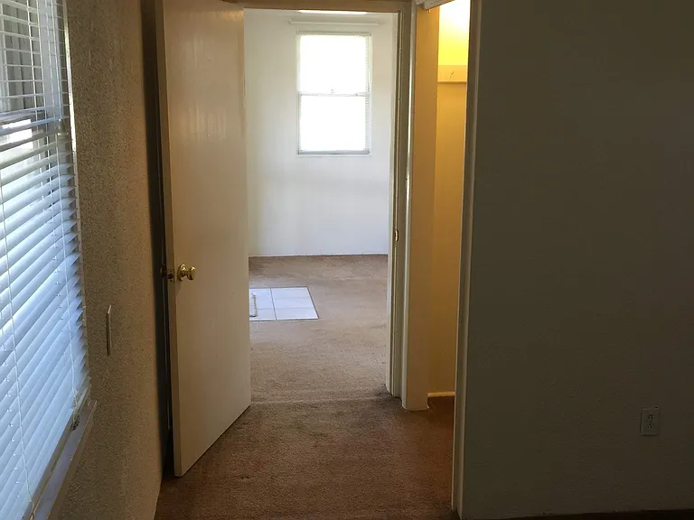 115 N Park St #5 — Photo 19