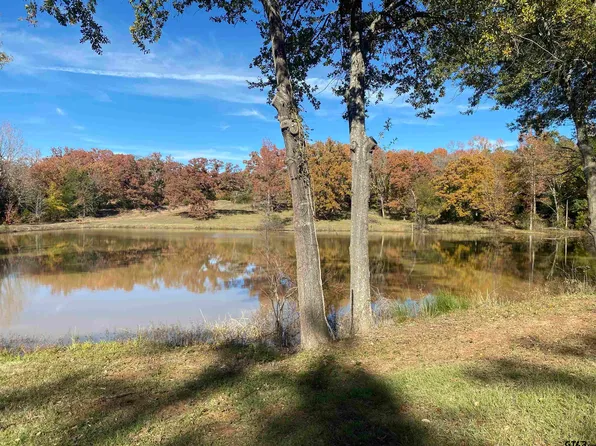 0 Tba County Rd #450, Lindale, TX 75771