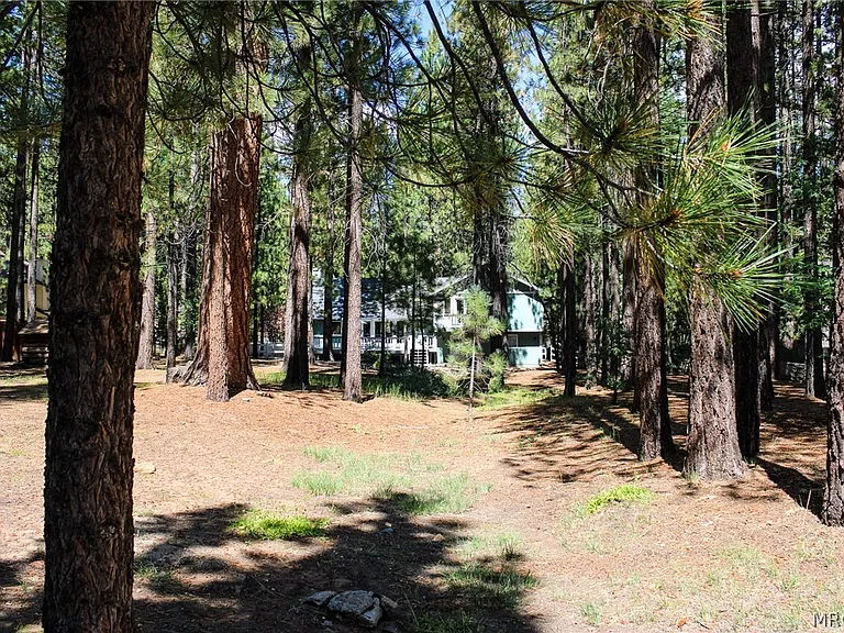 42109 Evergreen Dr — Photo 44