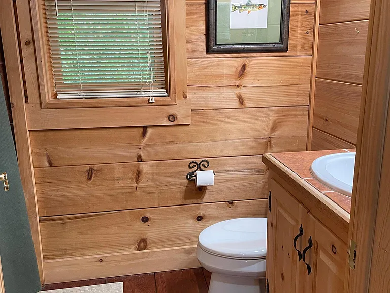 guest bathroom, tub shower combo