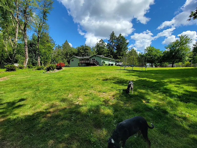 View from edge of NE of property viewing back porch