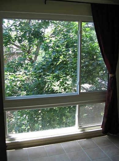 sunroom view