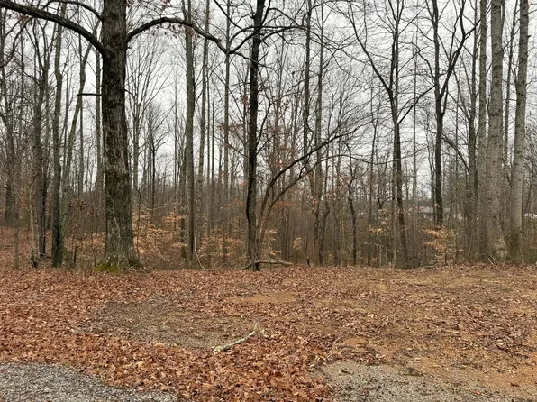0 Periwinkle Path Lot 10, Leoma, TN 38468