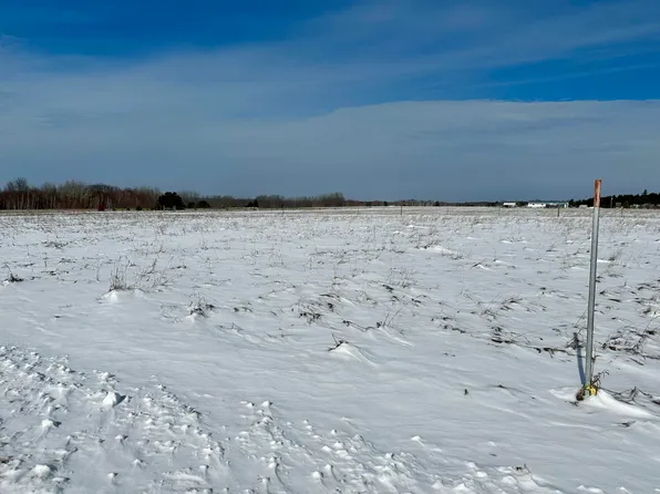 Mullett View Rd, Cheboygan, MI 49721