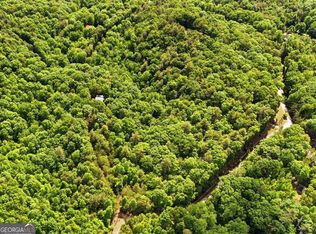 0 Hamik Hollow Rd, Cleveland, GA 30528