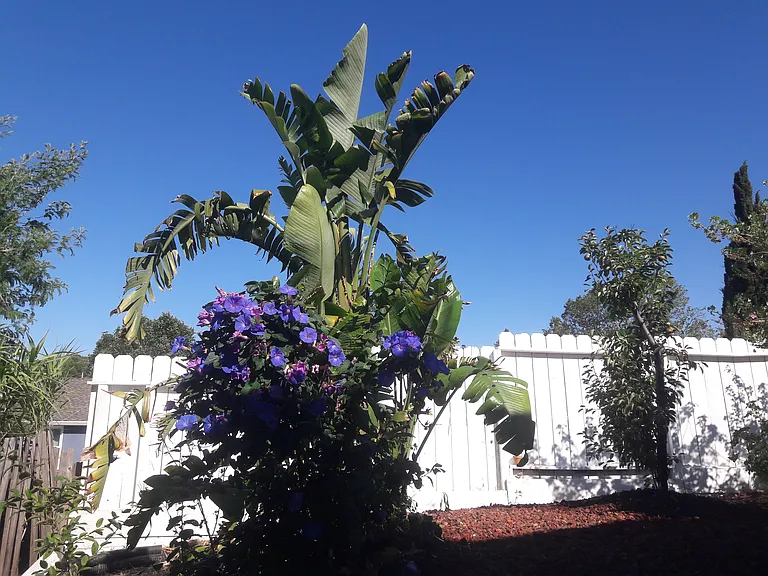 50 La Cruz Ave — Photo 33
