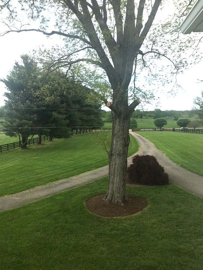 Kentucky mansion overlooking horse farm with stunning views 20260930 — Photo 3