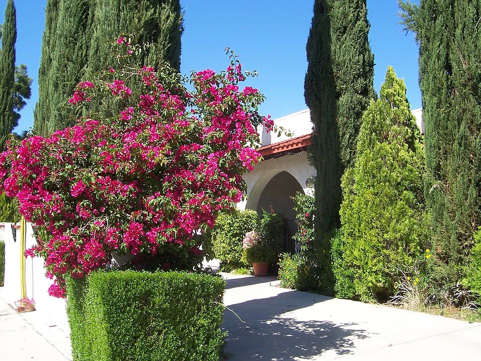 Front & Driveway