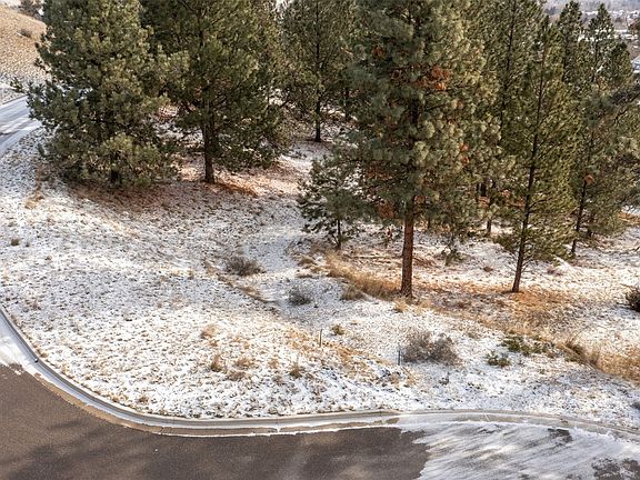 4th image of LOT 15 Sugar Pine Pl
