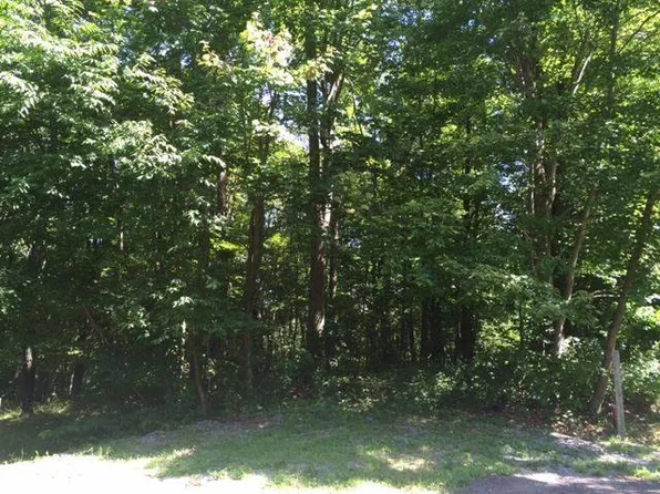 Summit Ct, Bruceton Mills, WV 26525