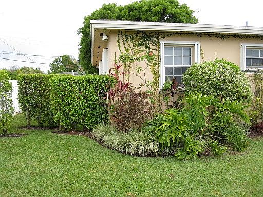 front yard