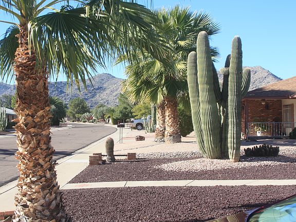 Mountain views from lawn