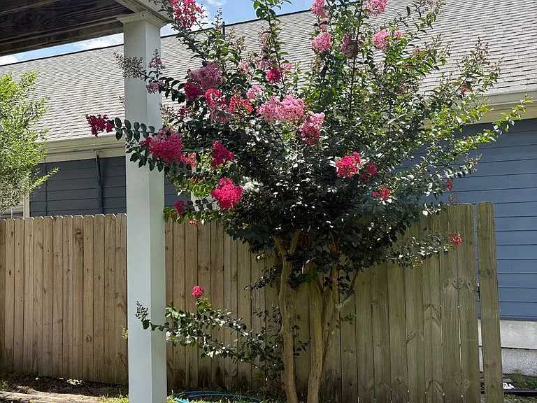 6A Covington Ln — Photo 17