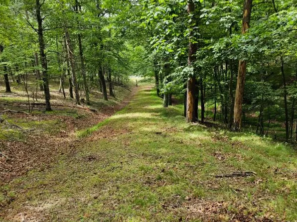 Luther Michael Rd, Berkeley Springs, WV 25411