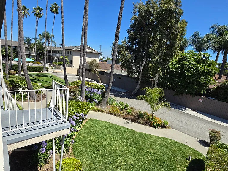 Coral Reef Apartments — Photo 8