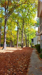 550 Post Rd APT 108, Ridgeland, MS, 39157