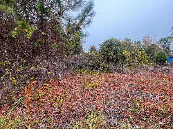 512 DOGWOOD Avenue, Georgetown, FL 32139