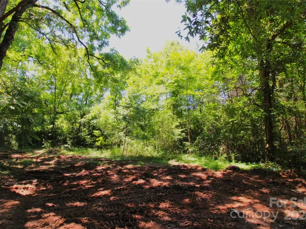 10/ACRE S Hosea Strong Rd, Chester, SC 29706