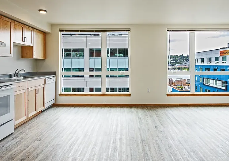 Large Windows for Natural Light with Window Coverings