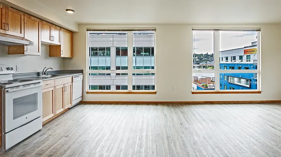 Large Windows for Natural Light with Window Coverings