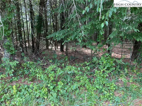 TBD DOELL LANE, Sparta, NC 28675