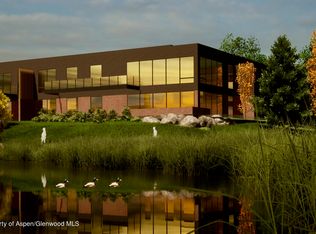 101 Willow Rd #105, Basalt, CO 81621