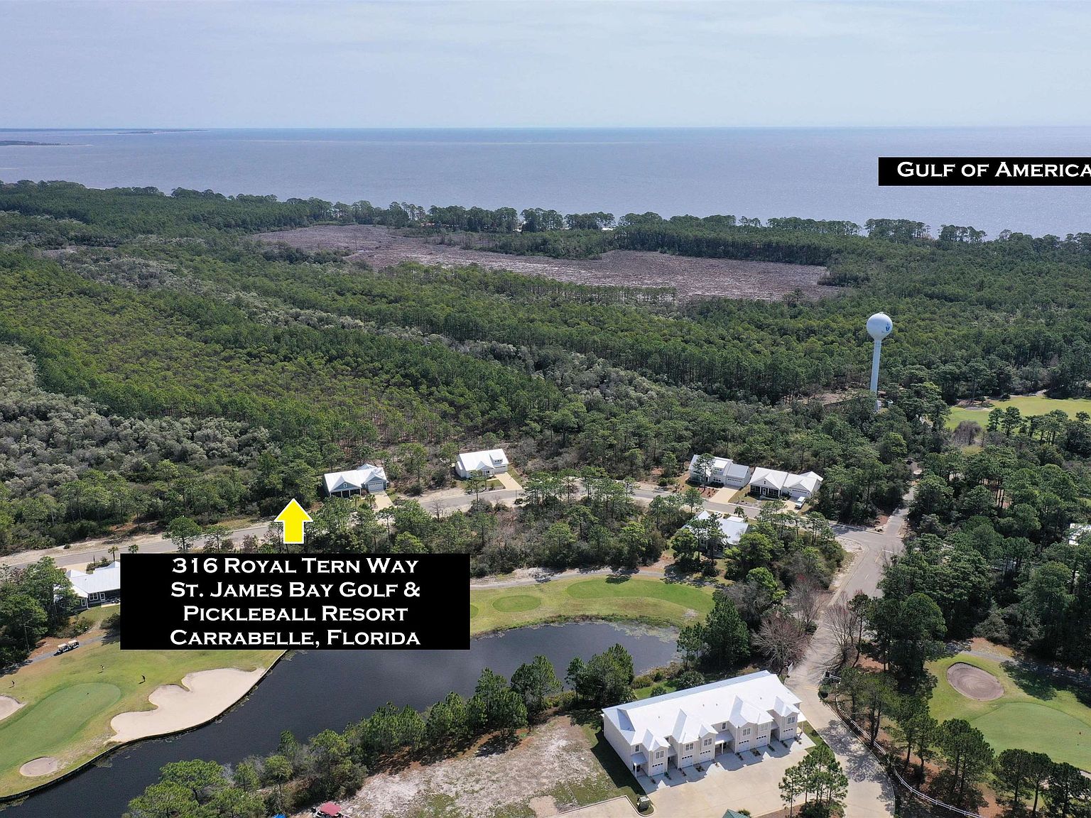 316 Royal Tern Way