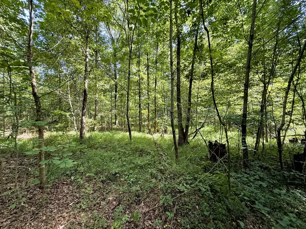 0 Webb Rd Lot 5, Summertown, TN 38483