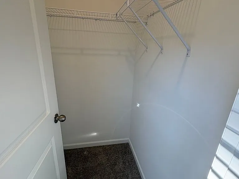19 Napier Ct — Photo 21