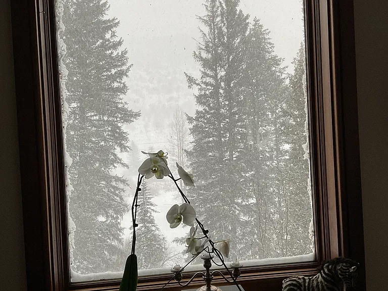 Vail Valley Dr — Photo 37