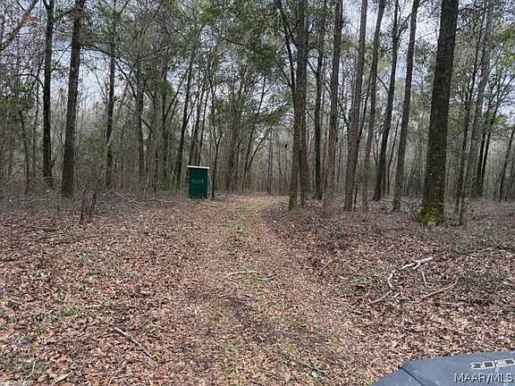 3rd image of County Road 40 W