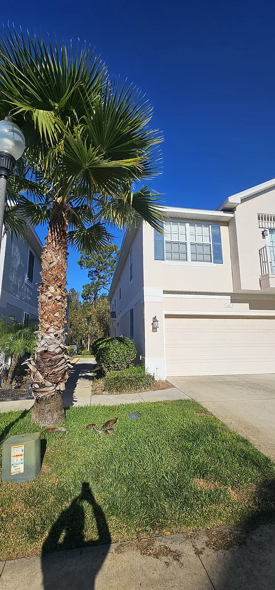 Building Photo - 8517 Shallow Creek Ct
