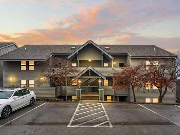 2 Treehouse Lane #9, Branson, MO 65616