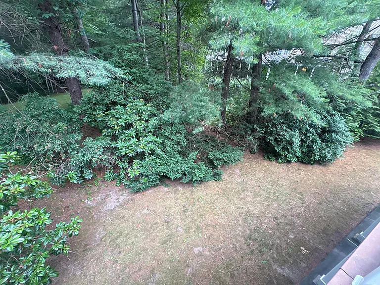 401 Browning Ln — Photo 14